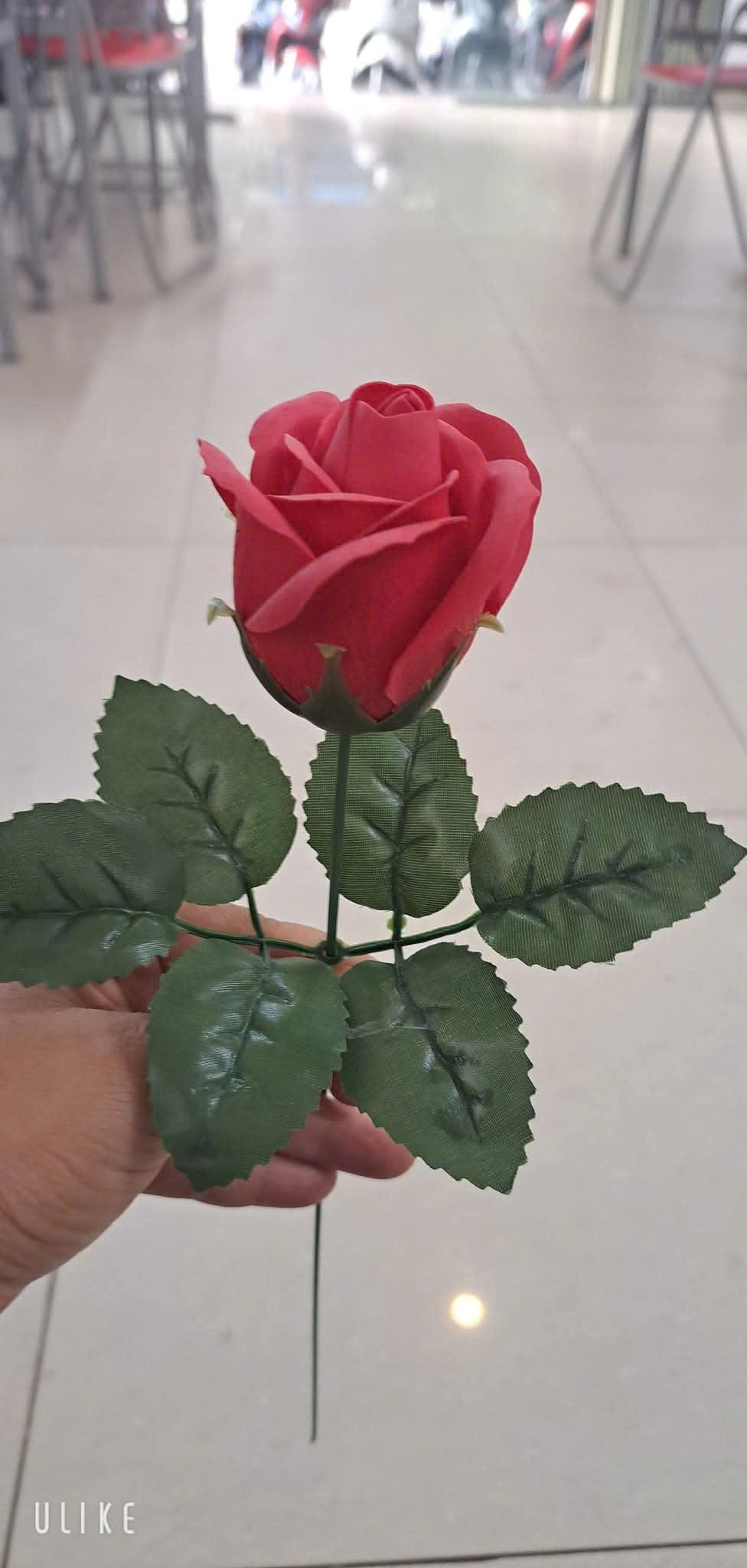 BÁN NHÀ CẤP 4 VỪA Ở VỪA KINH DOANH – VỊ TRÍ ĐẸP, KINH DOANH TIỀM NĂNG TẠI QUẬN 8 - Ảnh 2